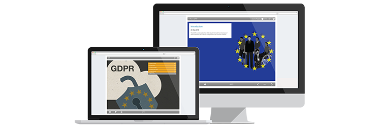 General data protection regulations (GDPR) e-learning course screenshot